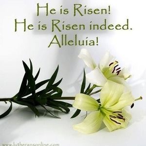 Meet your Posher, Lois